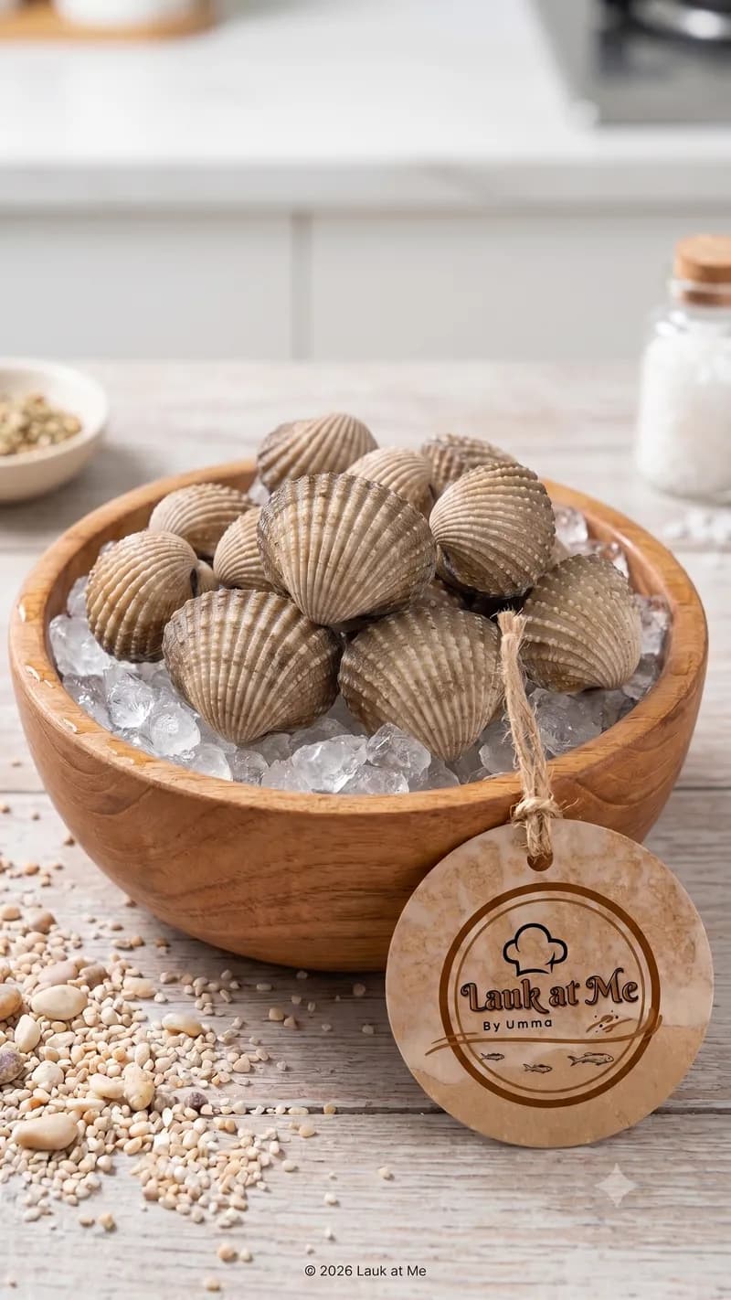 Foto Kerang Dara Besar segar Lauk at Me